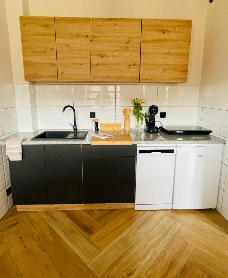 Gorska Cisza - Duzy, Komfortowy, Wyjatkowy Apartament สโตรเนีย ชล็องสเกีย ภายนอก รูปภาพ