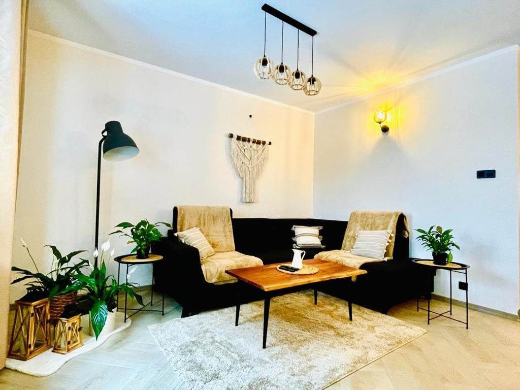 Gorska Cisza - Duzy, Komfortowy, Wyjatkowy Apartament สโตรเนีย ชล็องสเกีย ภายนอก รูปภาพ