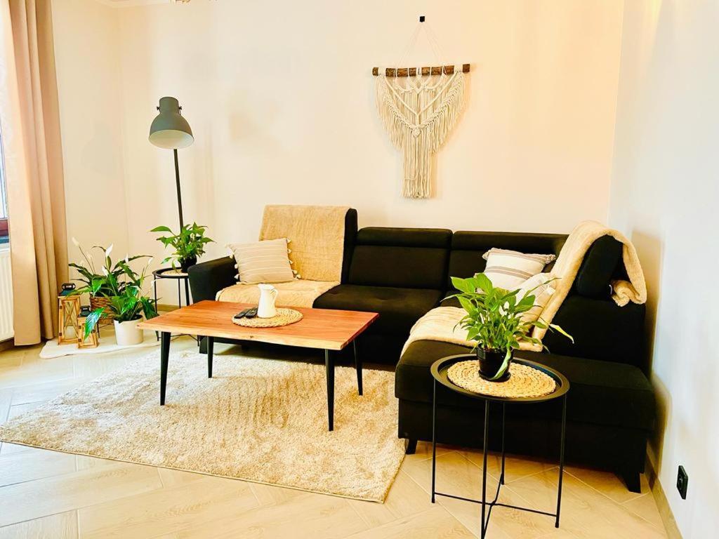 Gorska Cisza - Duzy, Komfortowy, Wyjatkowy Apartament สโตรเนีย ชล็องสเกีย ภายนอก รูปภาพ