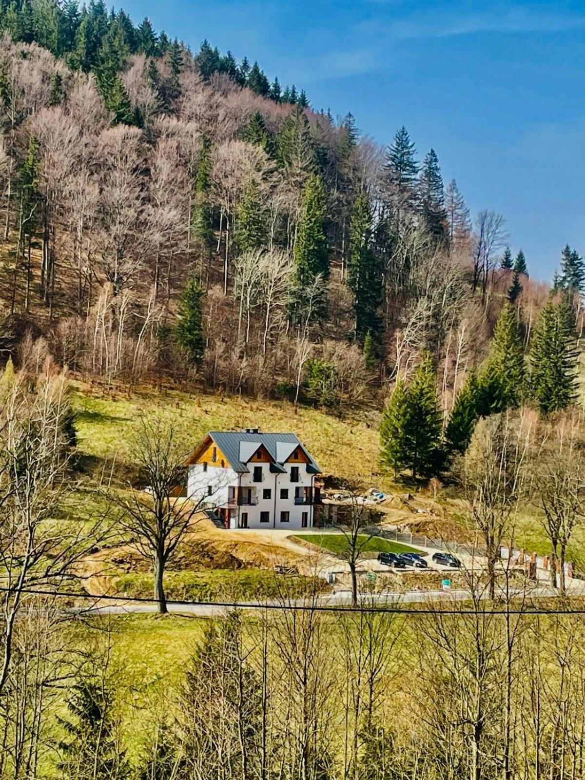 Gorska Cisza - Duzy, Komfortowy, Wyjatkowy Apartament สโตรเนีย ชล็องสเกีย ภายนอก รูปภาพ