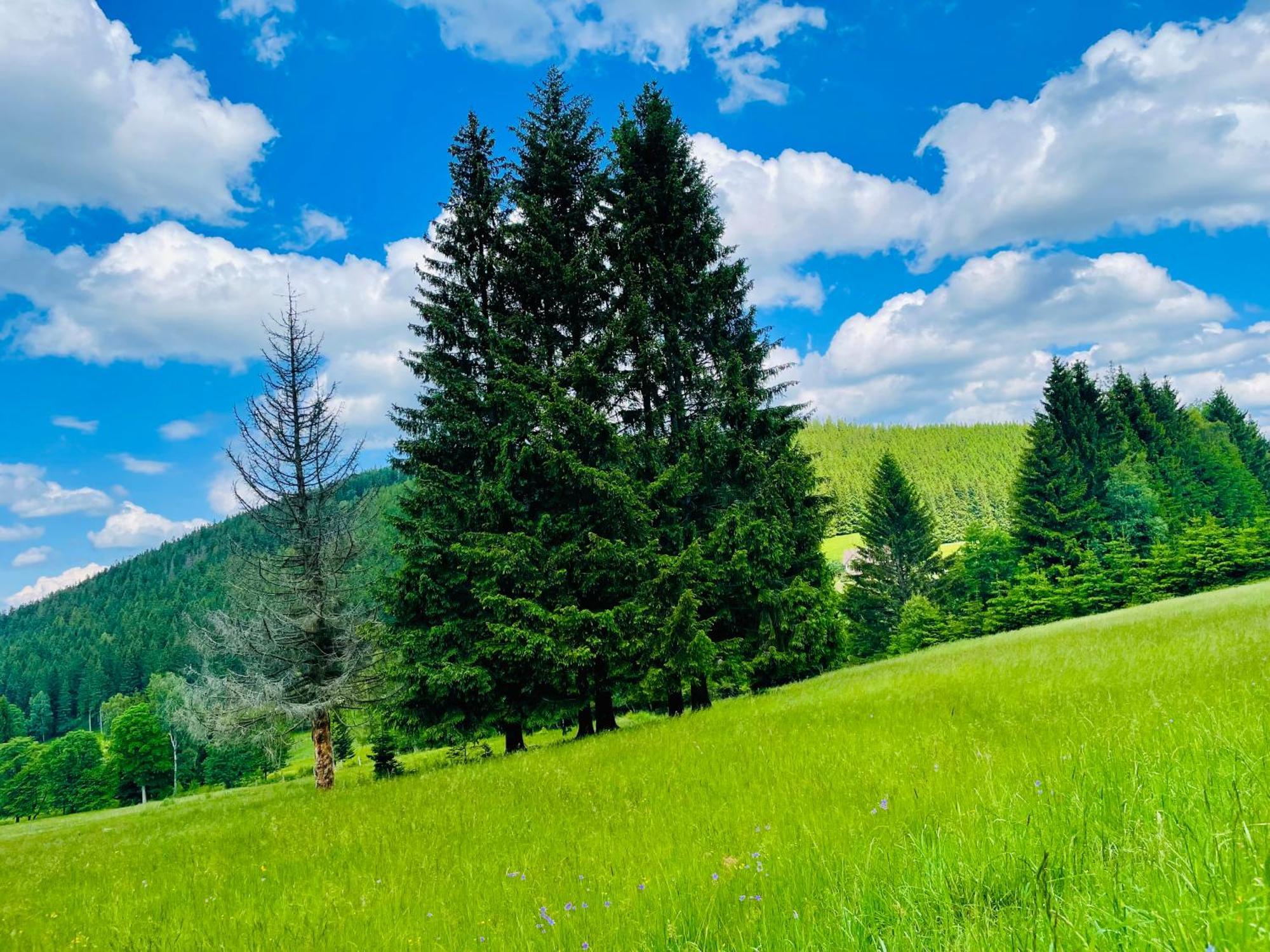 Gorska Cisza - Duzy, Komfortowy, Wyjatkowy Apartament สโตรเนีย ชล็องสเกีย ภายนอก รูปภาพ